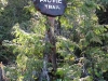 Ucluelet is home of the Wild Pacific Trail-600.jpg
